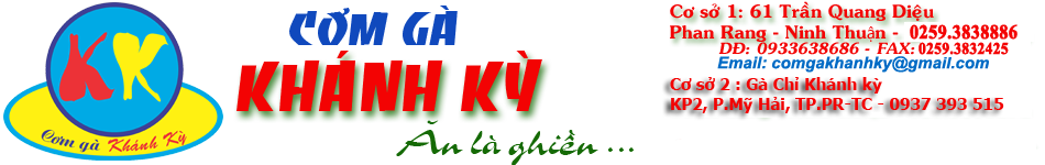 Banner tiếng việt